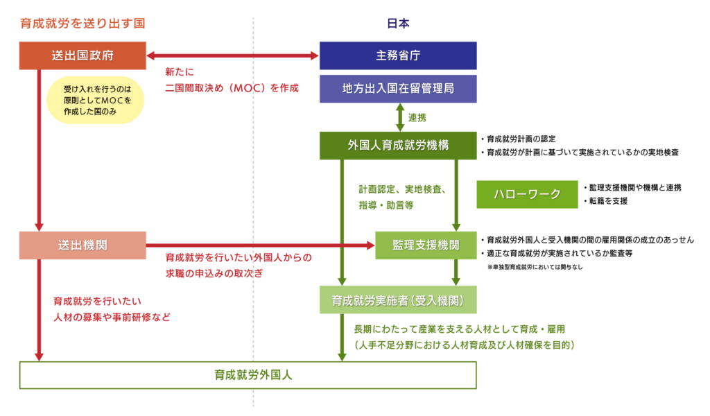 特定技能｜育成就労制度の関係機関のイメージ