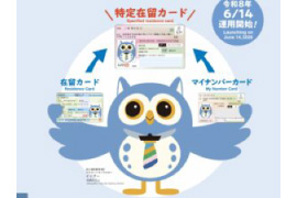 【最新ニュース】在留カードとマイナンバーカードが一体化！特定在留カード等とは？ (2026年6月施行予定)